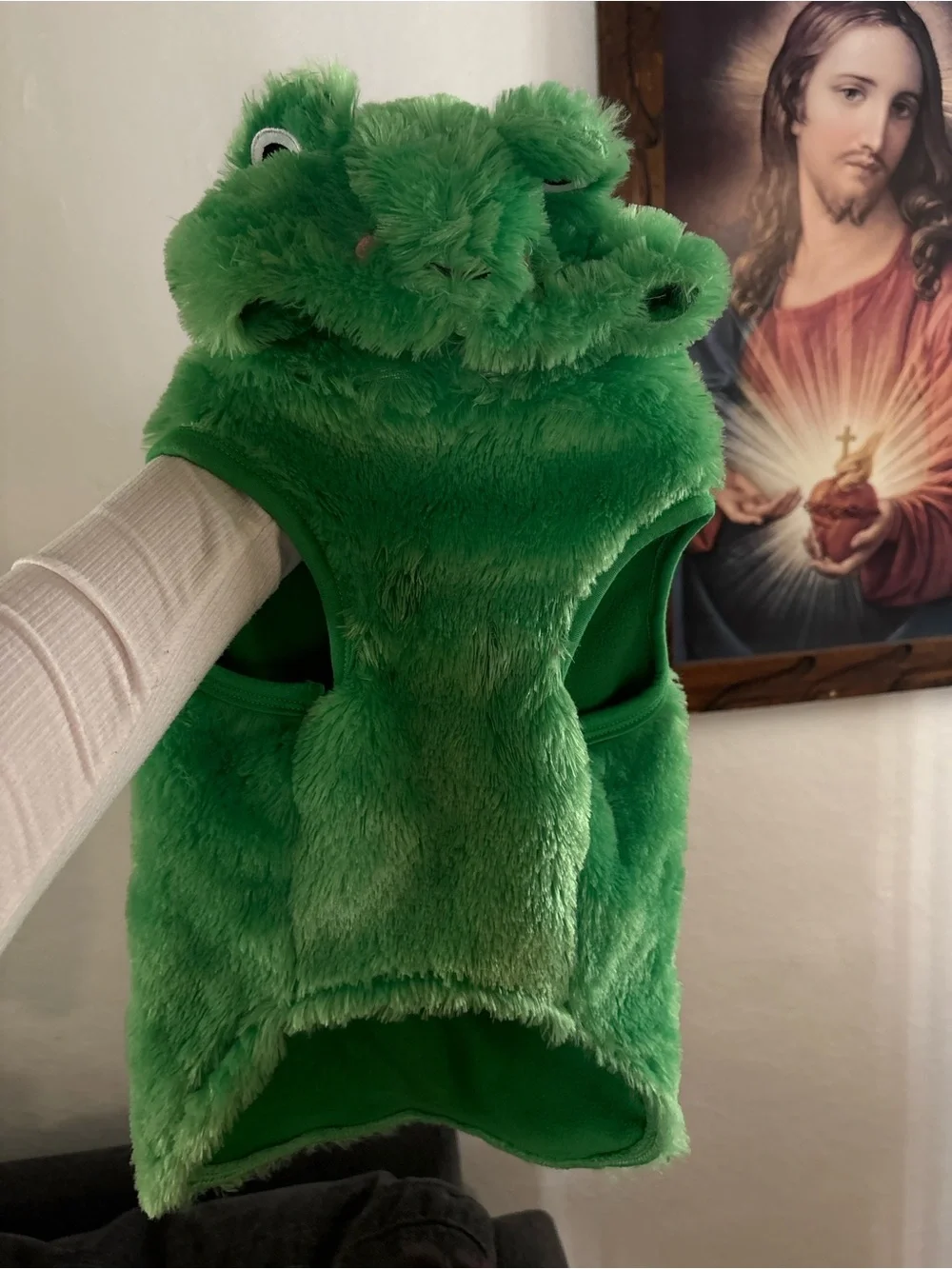 🐸💚 Frog Dog Costume – Size Large – Soft & Adorable! 💚🐸